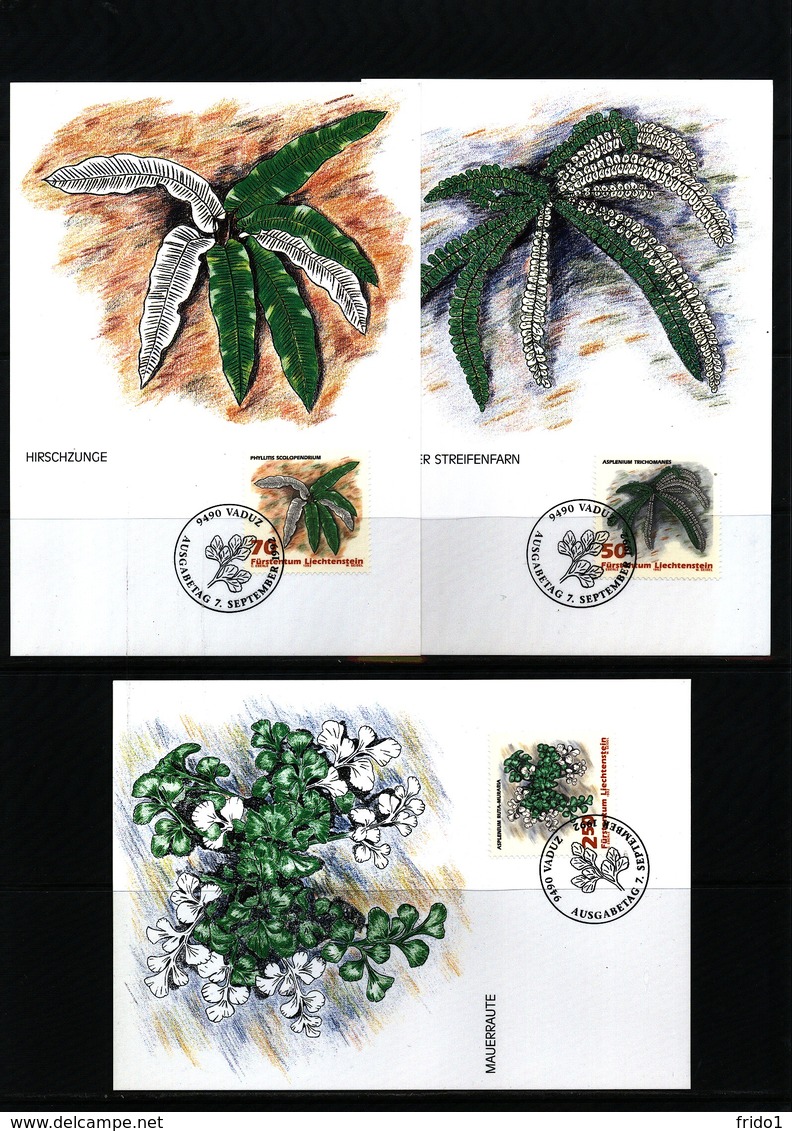 Liechtenstein 1992 Ferns Maximumcards - Vegetables