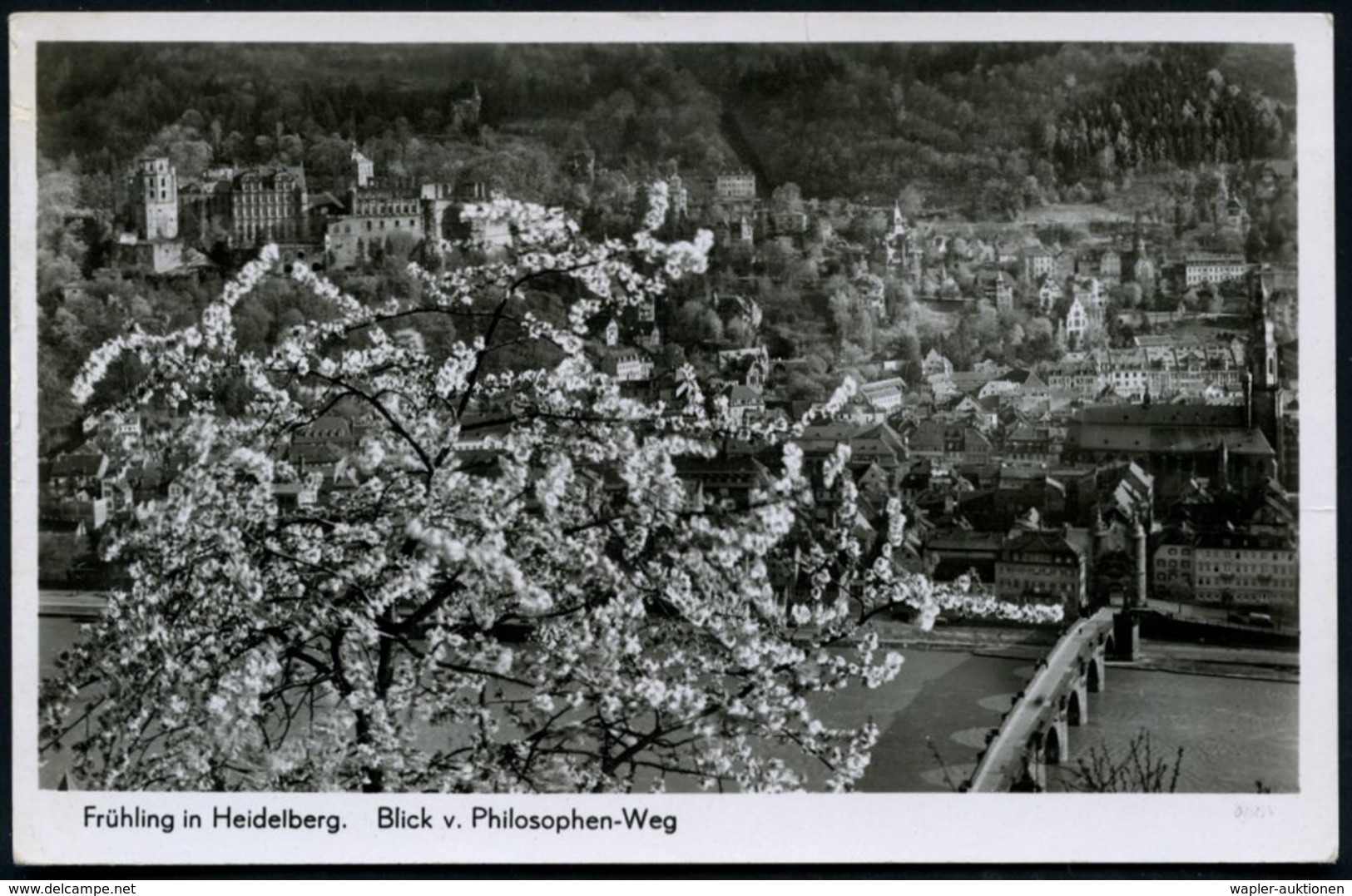 1939 (16.4.) HEIDELBERG 1, Maschinen-Werbestempel Kraftpostbus Mit UB "p", S/w.-Foto-Ak.: Frühling In Heidelberg (Bo.S 2 - Other & Unclassified