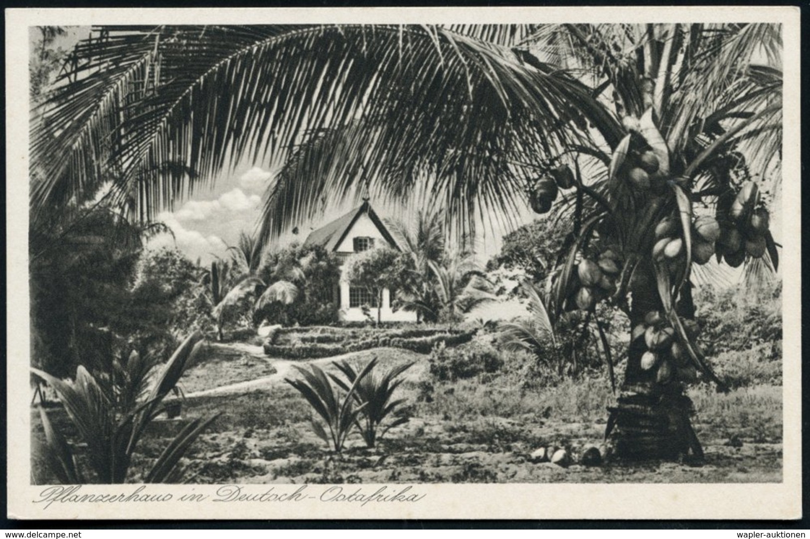 1935 (ca.) Wiedenhof-Buchholz, S/ W.-Kupferdruck-Foto-Ak.: Pflanzerhaus In Deutsch Ostafrika, Ungebr. (Verlag Walter Dob - Autres & Non Classés