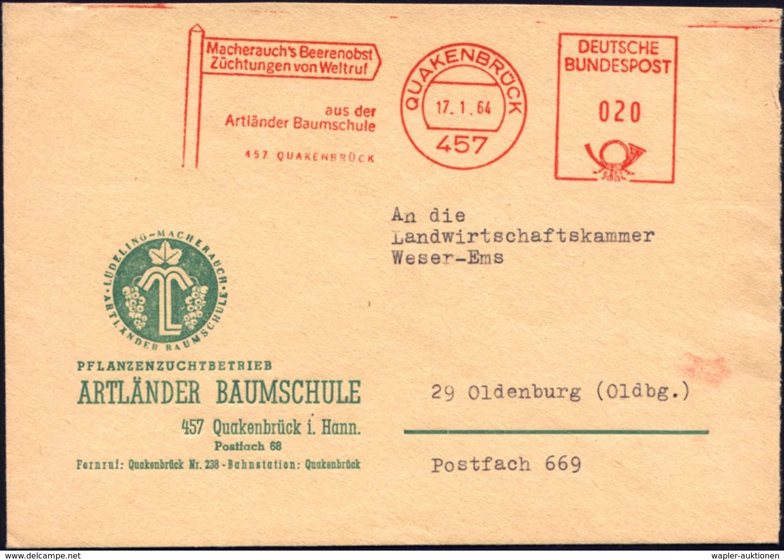 1964 457 QUAKENBRÜCK, Absender-Freistempel: Macherauch's Beerenobst,, Artländer Baumschule Auf Dekorativem Reklame-Brief - Other & Unclassified