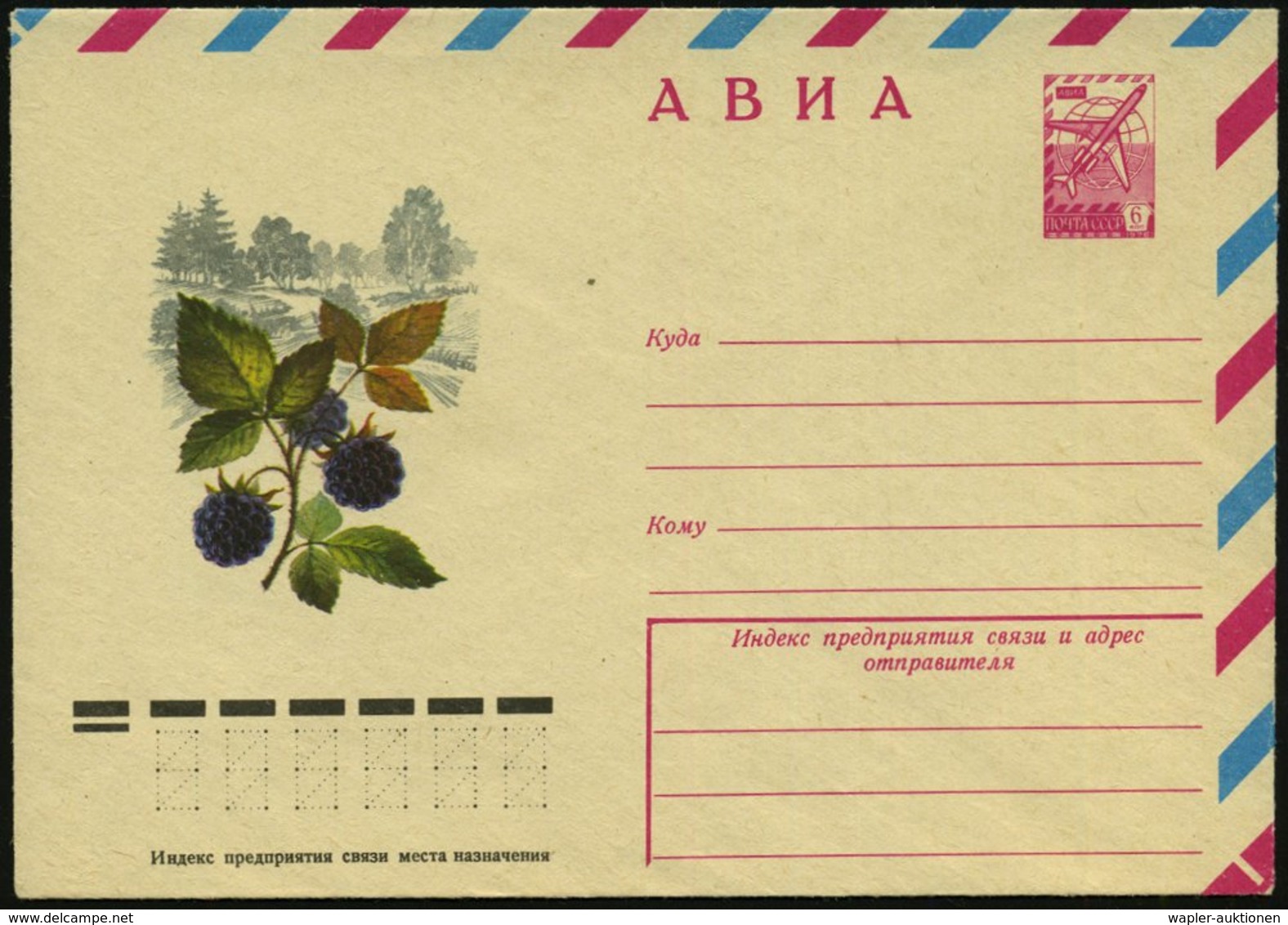 1977 UdSSR, 6 Kop. Luftpost-Ganzsachen-Umschlag: Brombeeren, Ungebr. - Agrarprodukte & Obst / Agricultural Products / Pr - Other & Unclassified