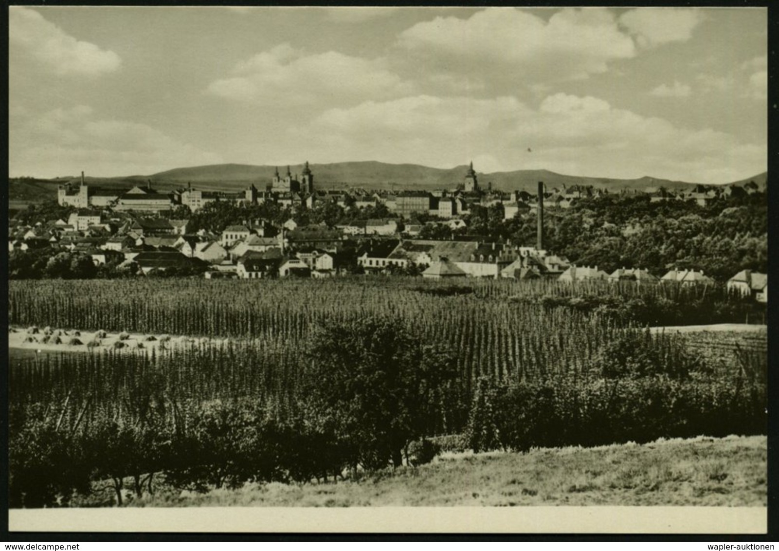 1952 TSCHECHOSLOWAKEI, 1,50 Kc. Bild-Ganzsache Gottwald: Zatec (= Saaz) Mit Hopfenfeldern, Ungebr. (Pofis CPH.2426) - Bi - Other & Unclassified