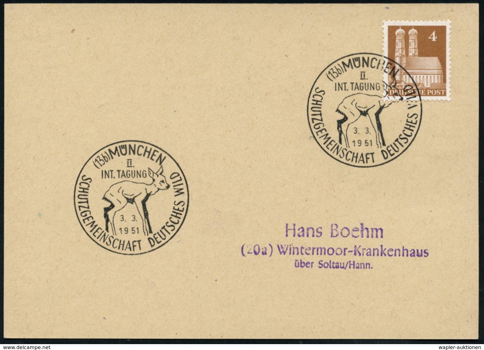 1951 (3.3.) (13 B) MÜNCHEN, Sonderstempel: II. INT. TAGUNG SCHUTZGEMEINSCHAFT DEUTSCHES WILD (= Rehkitz) Inl.-Karte (Bo. - Autres & Non Classés