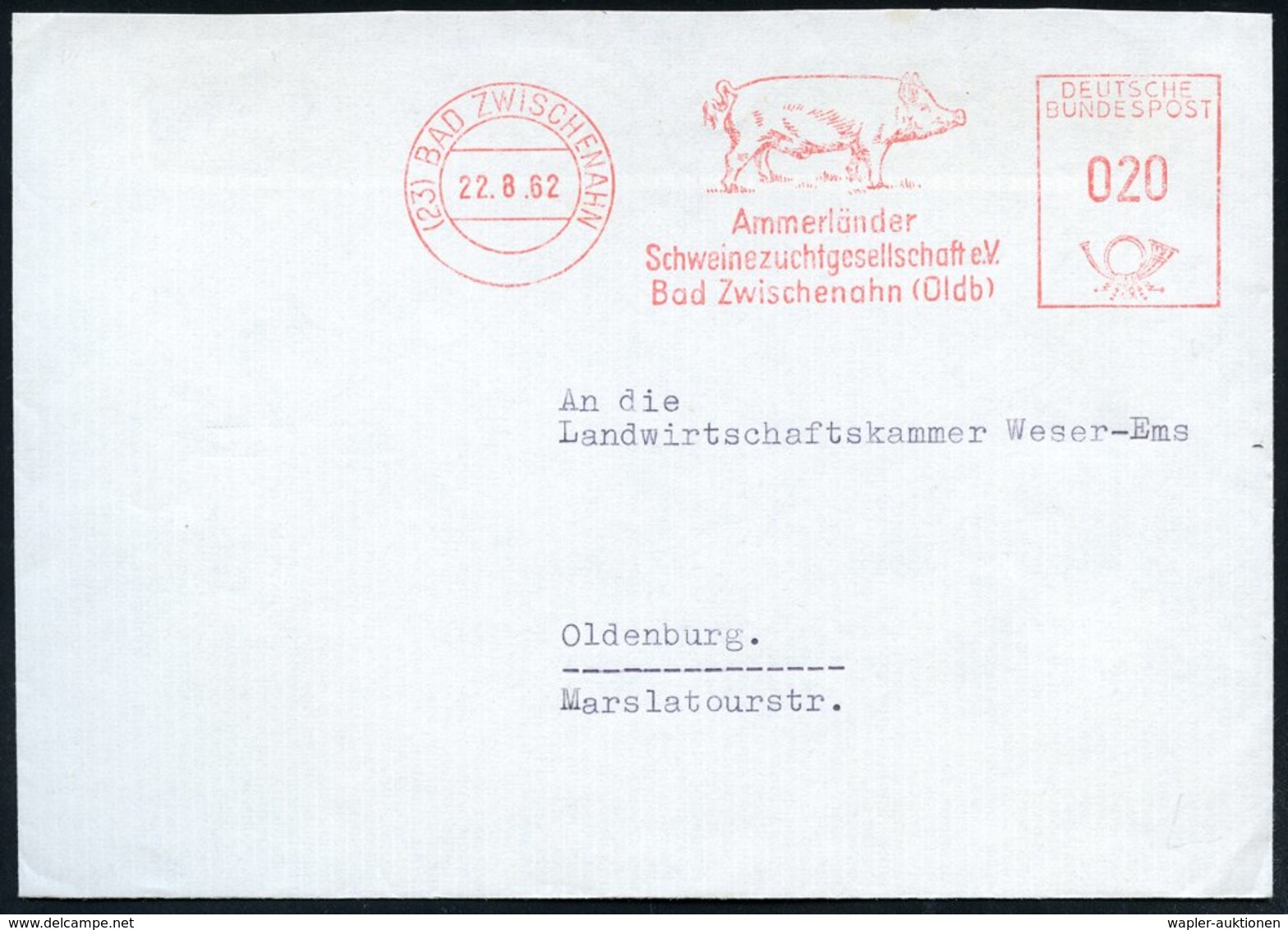1962 (22.8.) (23) BAD ZWISCHENAHN, Absender-Freistempel: Ammerländer Schweinezuchtgesellschaft E.V. = Hausschwein, Firme - Other & Unclassified