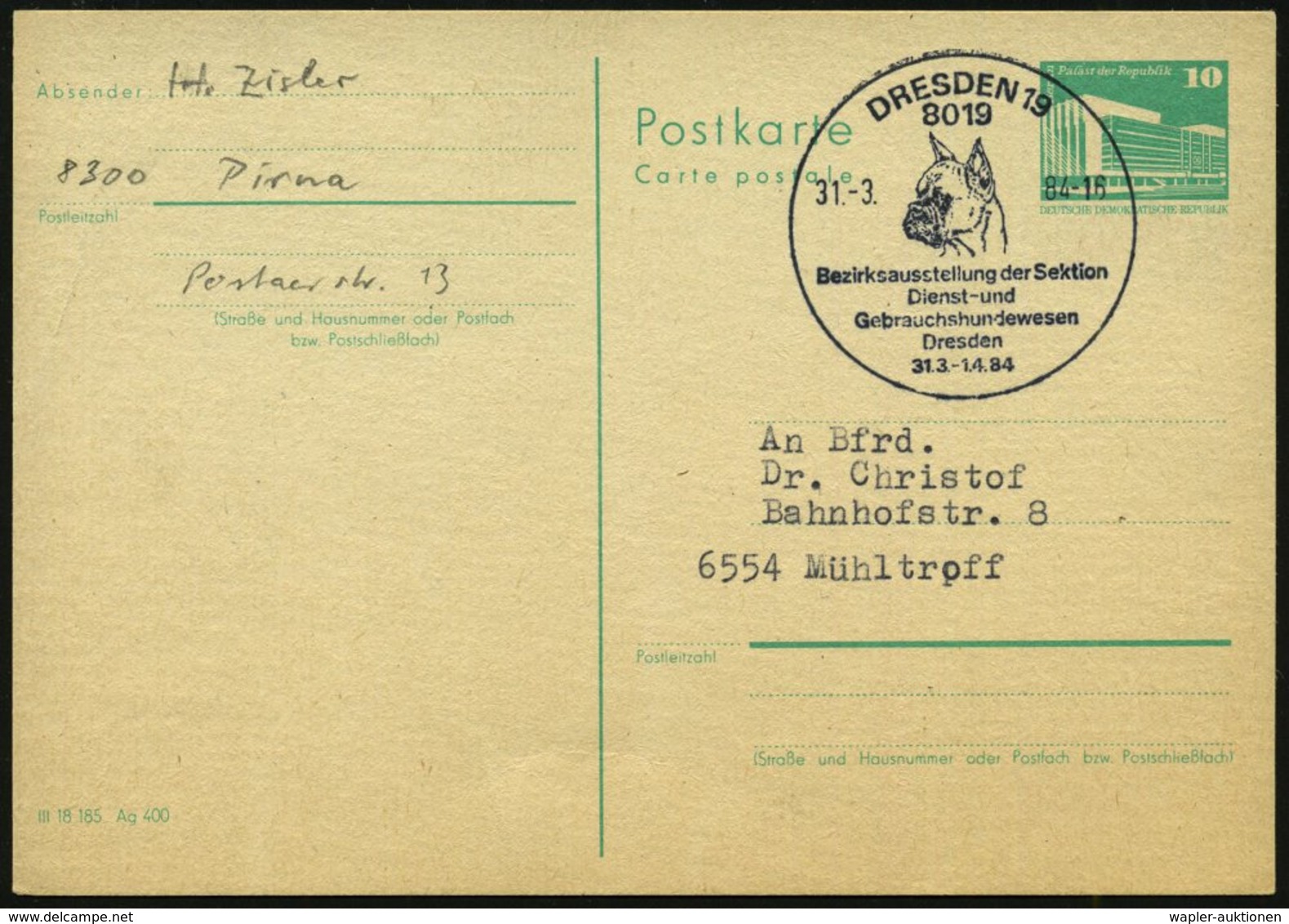 1984 (31.3.) 8019 DRESDEN 19, Sonderstempel: Bezirksausstellung Der Sektion Dienst- U. Gebrauchshundewesen (Boxerkopf) I - Other & Unclassified