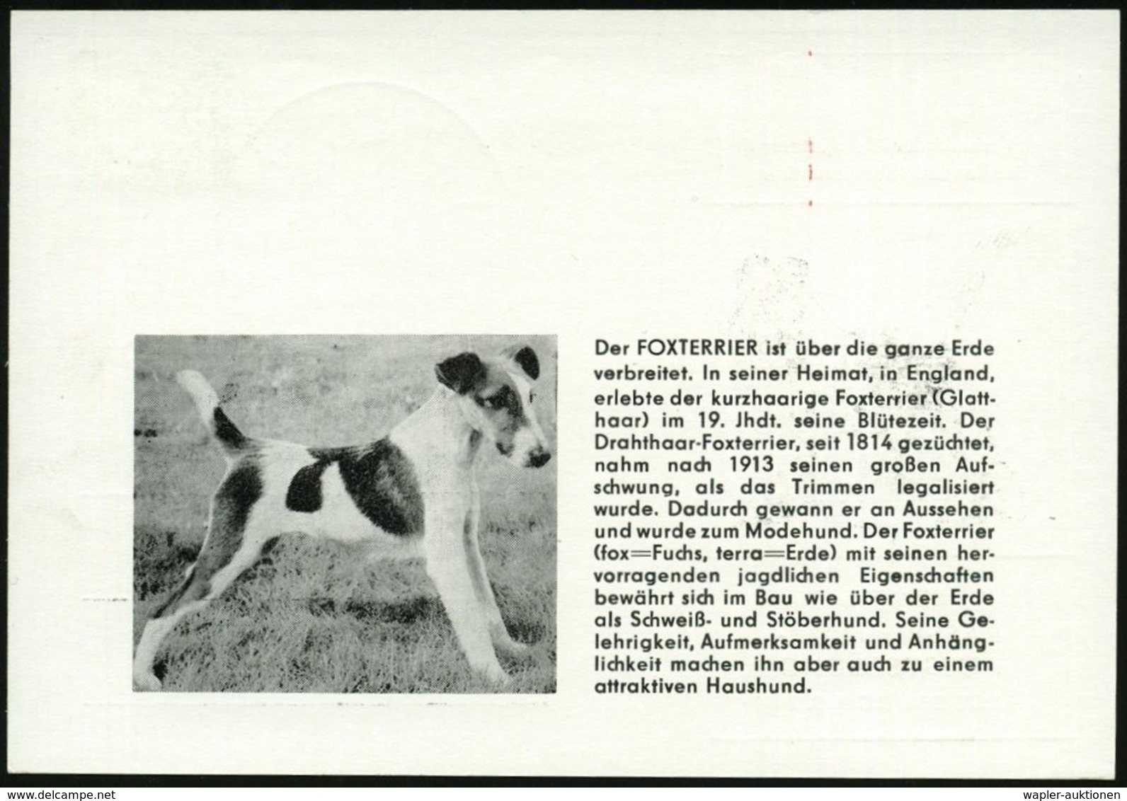 1984 (9.9.) 3010 MAGDEBURG 1, Sonderstempel: VKSK-DDR-offene Rassehundeausstellung (Terrier) Auf Passender Sonderkarte - - Other & Unclassified
