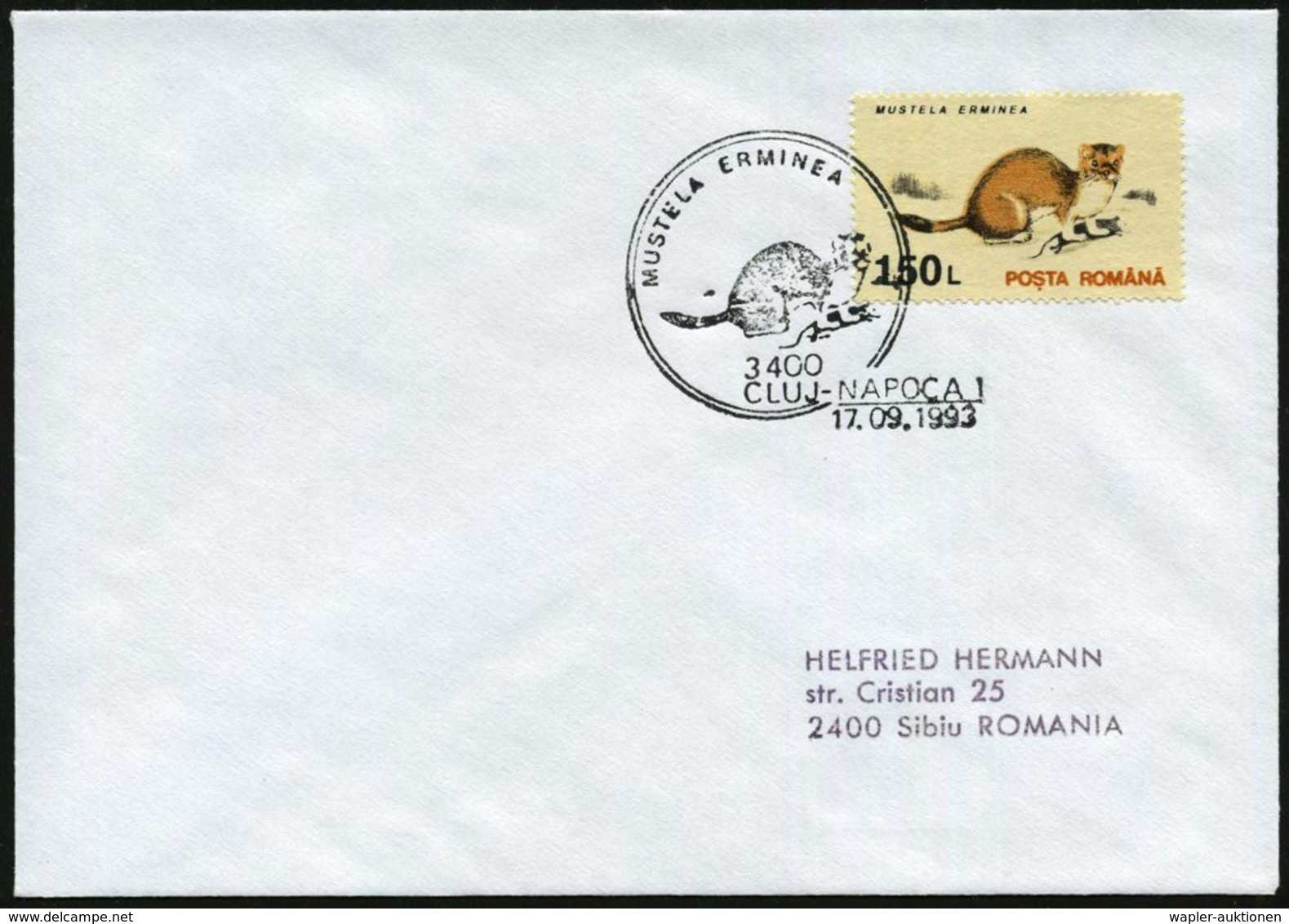 1993 (17.9.) RUMÄNIEN, 150 L. Hermelin, EF + Motivgleicher Sonderstempel: CLUJ-NAPOCA 1, Inl.-Brief (Mi.4909 EF) - Wild  - Altri & Non Classificati