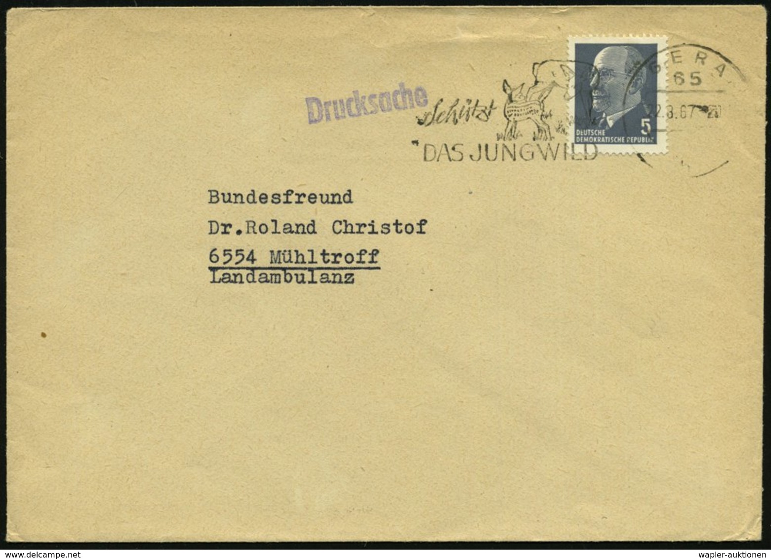 1967 (22.8.) 65 GERA, Maschinen-Werbestempel: Schützt DAS JUNGWILD = Reh U. Rehkitz, Bedarfsbrief, Vergl. Los 3588 ! (Bo - Other & Unclassified