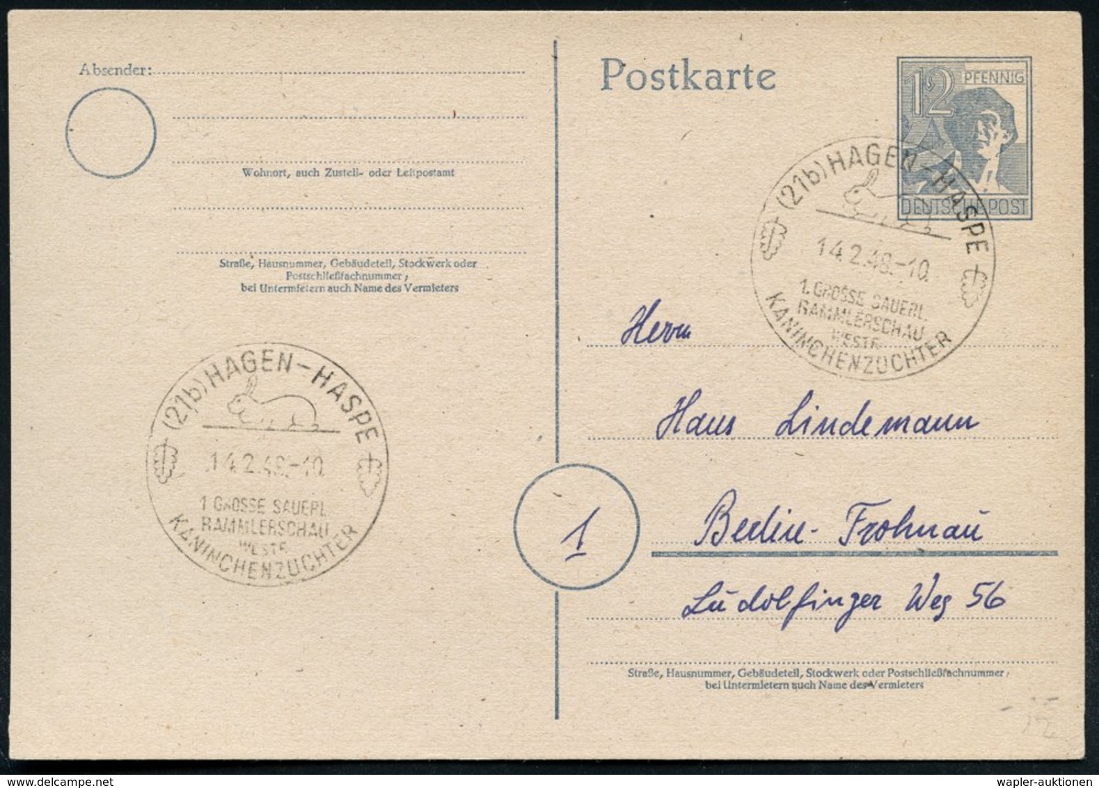 1948 (14.2.) (21 B) HAGEN-HASPE, Sonderstempel: 1. GROSSE SAUERL. RAMMLERSCHAU WESTF. KANINCHENZÜCHTER (Kaninchen) Inl.- - Other & Unclassified