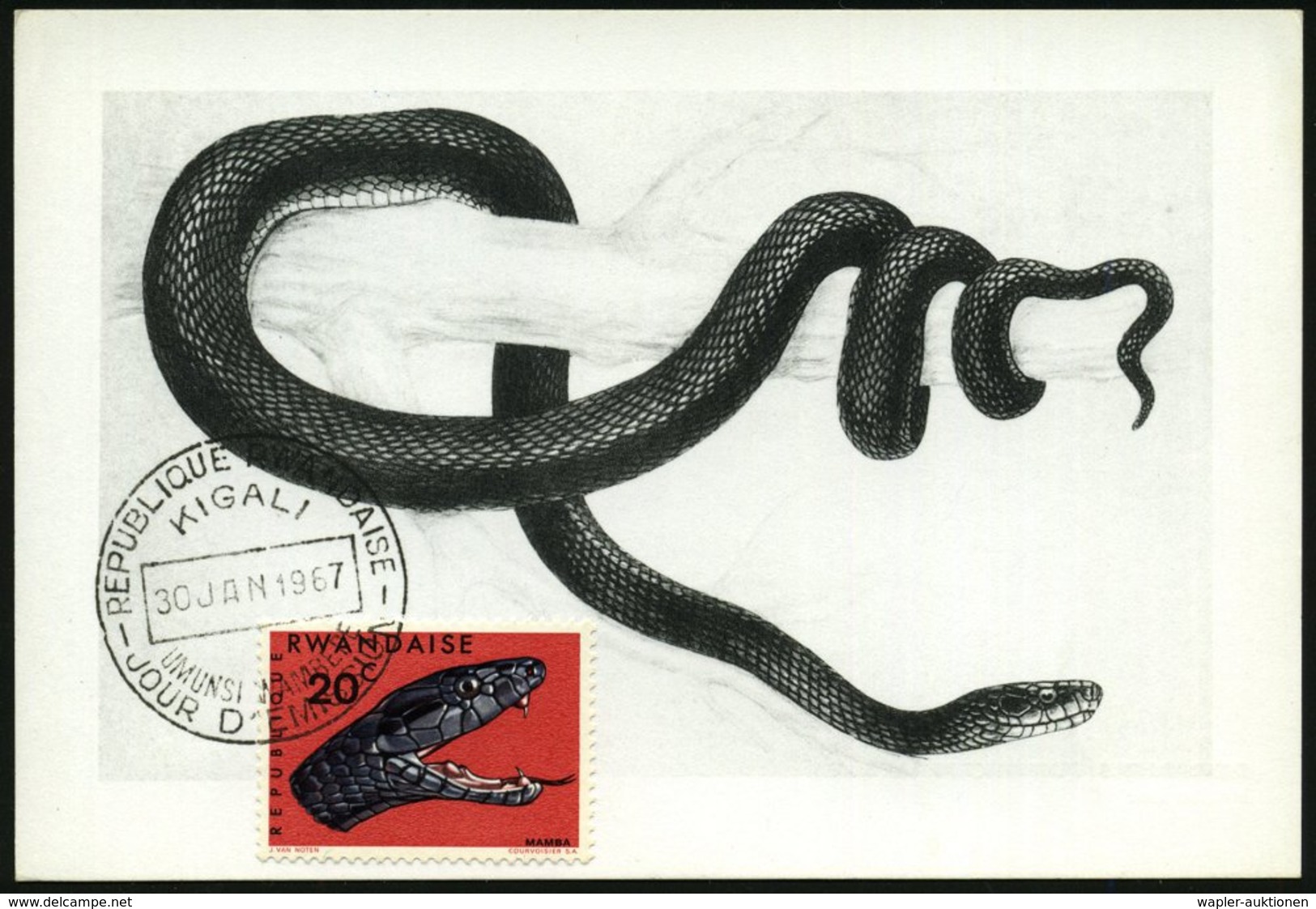 1967 (30.1.) RUANDA, 20 C. Grüne Mamba + ET-Sonderstempel: KIGALI, ET-Maximumkarte (Mi.201) - Reptiline, Schlangen & Amp - Other & Unclassified