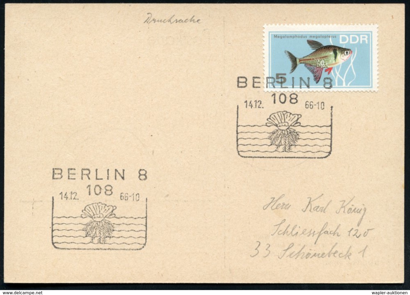 1966 (14.12.) 108 BERLIN 8, Sonderstempel Ohne Text = Qualle (?) EF 5 Pf. Phantomsalmler, Inl.-Karte (Mi.1221 EF) - Moll - Other & Unclassified