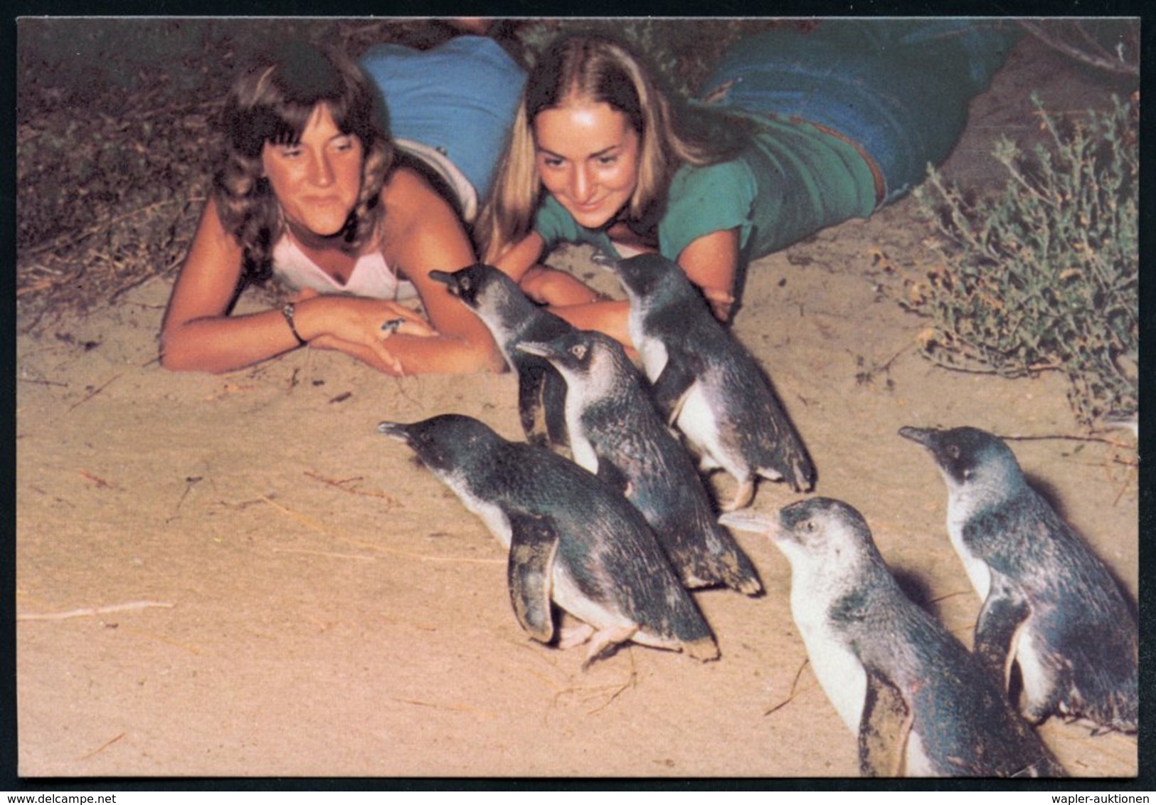 1979 AUSTRALIEN, 20 C. Bild-Ganzsache: Pinguine Auf Der Phillip Island (Victoria) + Zusatzfrankatur, Bedarfs-Übersee-Flu - Other & Unclassified