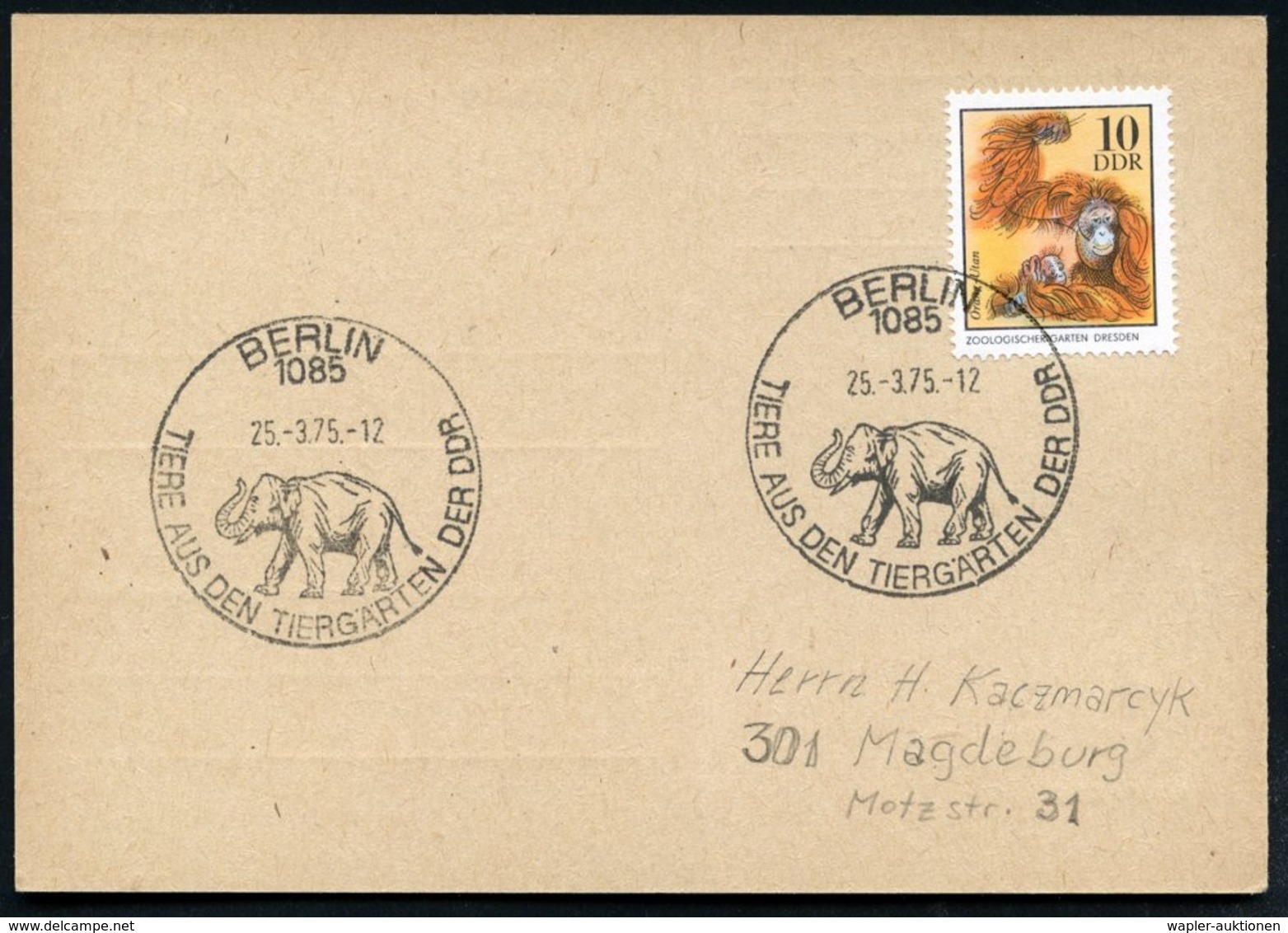 1975 (25.3.) 1085 BERLINl, Sonderstempel: TIERE AUS DEN TIERGÄRTEN DER DDR = Elefant Auf Passender EF 10 Pf. Zoo Dresden - Other & Unclassified
