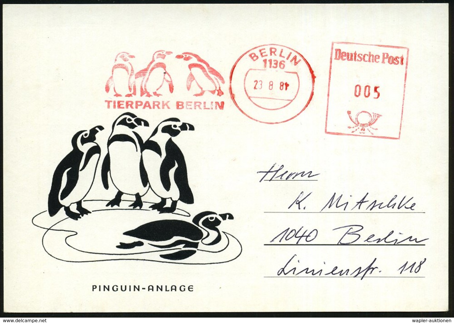 1981 (23.8.) 1136 BERLIN, Absender-Freistempel: TIERPARK BERLIN (3 Pinguine) Auf Motiv-ähnl. Sonderkarte: PINGUIN-ANLAGE - Other & Unclassified