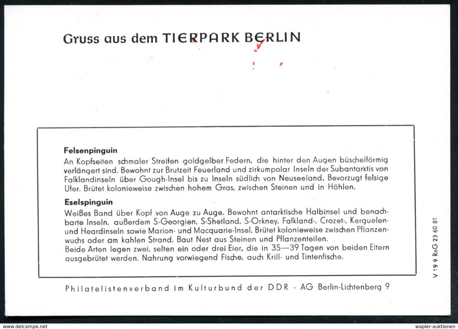 1981 (23.8.) 1136 BERLIN, Absender-Freistempel: TIERPARK BERLIN (3 Pinguine) Auf Motiv-ähnl. Sonderkarte: PINGUIN-ANLAGE - Other & Unclassified