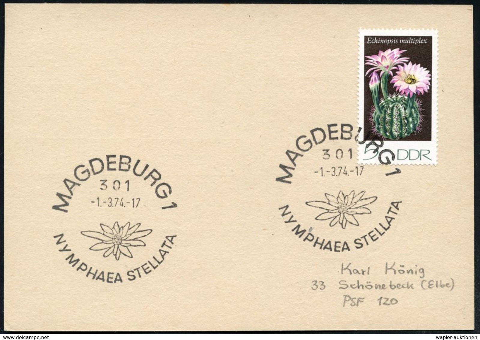 1974 (1.3.) 301 MAGDEBURG 1, Sonderstempel: NYMPHAEA STELLATA (Kaktusblüte) Auf EF 5 Pf. Echinopsis Multiplex, Inl.-Kart - Autres & Non Classés