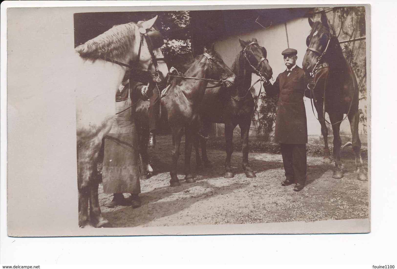 Carte Photo  ( Peut être Avec  Un Maréchal Ferrant  Caché Par Le Cheval )(  Recto Verso ) - Chevaux