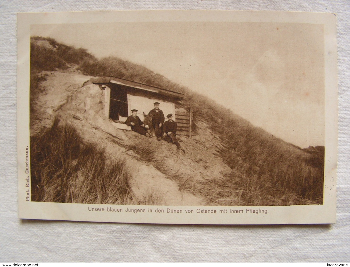 Ww1 Weltkrieg Soldat Allemand Carte Photo Wohlfahrts Karte Jeunes Soldats Dans Les Dunes Ostende Avec Leur Ane 140 - Guerre 1914-18