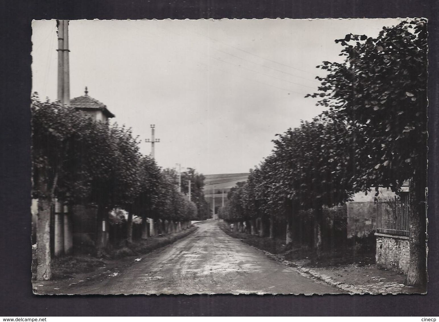 CPSM 78 - BEYNES - Avenue De La Gare - Très Jolie Vue De L'allée Avec Arbres De Chaque Côté - Beynes