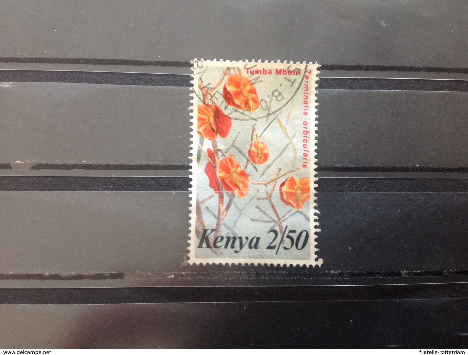 Kenia / Kenya - Bloemen (2.50) 1983 - Kenia (1963-...)