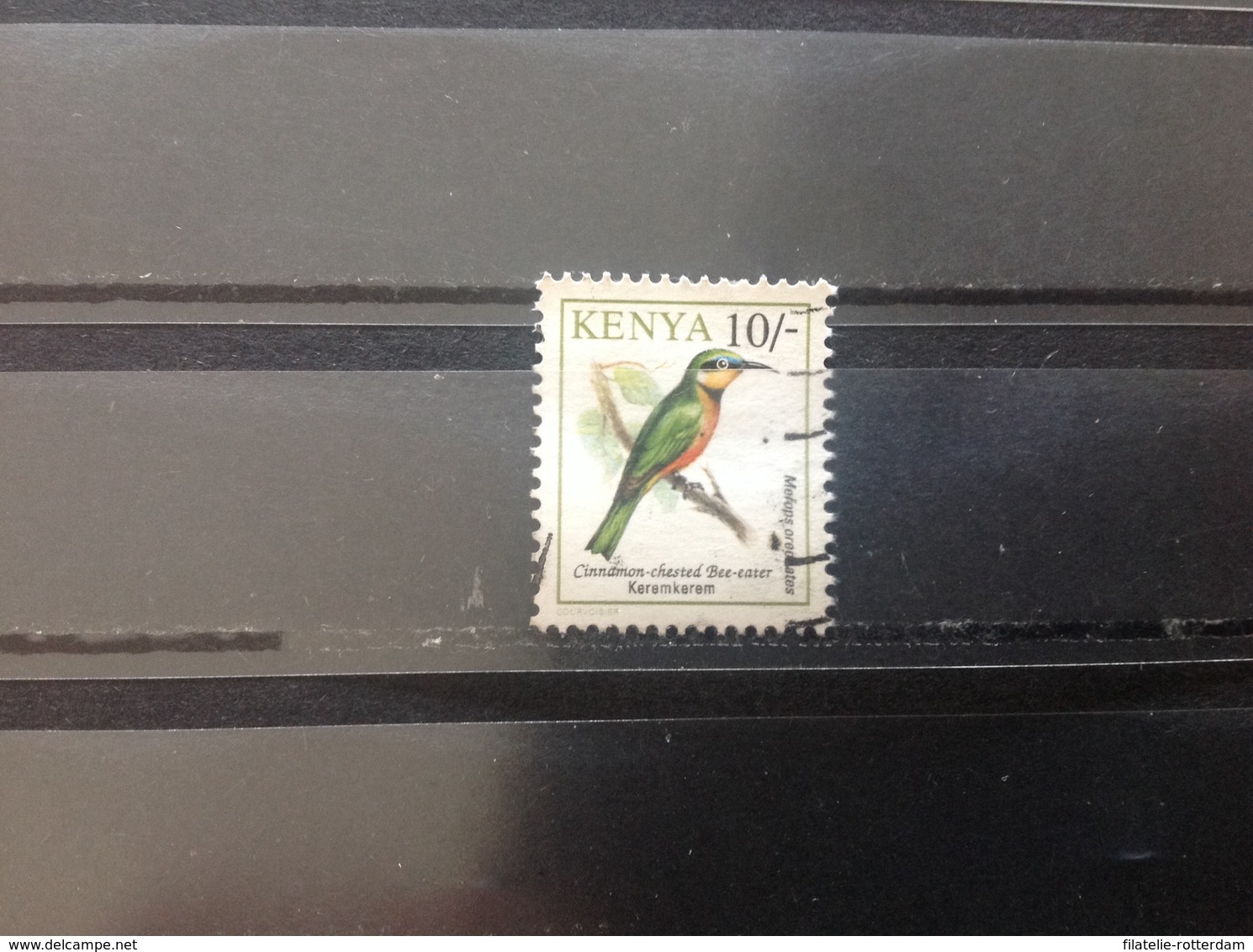 Kenia / Kenya - Vogels (10) 1993 - Kenia (1963-...)