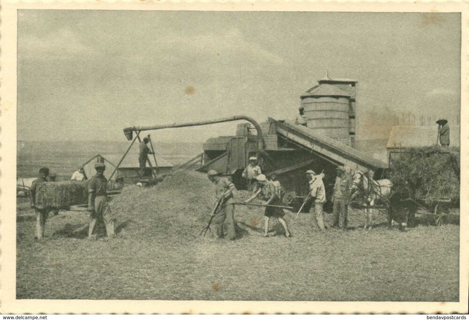 Israel Palestine, Harvest In The Emek (1930s) Tmunia Postcard 206 - Israel