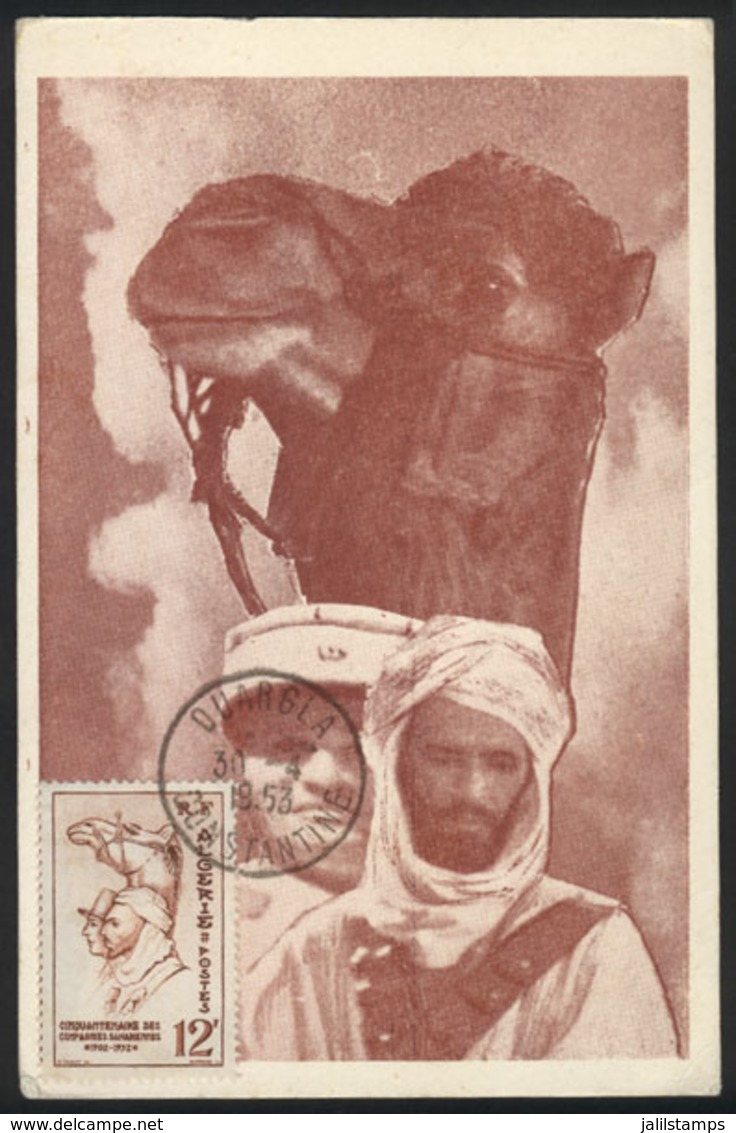 185 ALGERIA: Maximum Card Of AP/1953: Saharan Companies, Soldiers, Military, VF Quality - Cartes-maximum