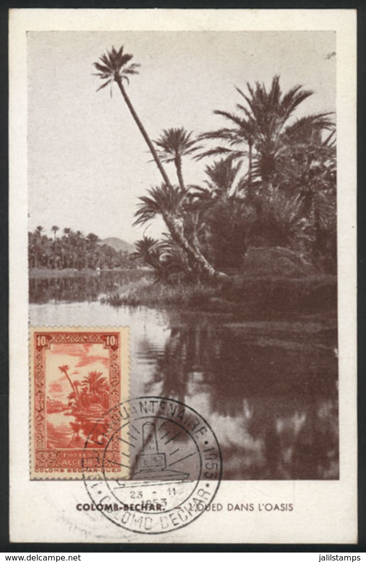 187 ALGERIA: COLOMB-BECHAR: A Wadi, Palm Trees, Maximum Card Of 26/MAY/1954, With Special Pmk, VF Quality - Cartoline Maximum