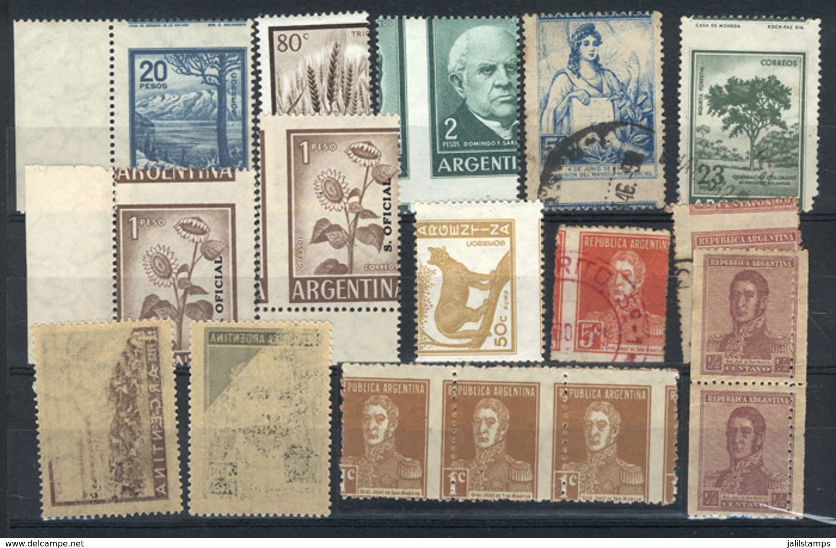 694 ARGENTINA: VARIETIES: Stockcard With 12 Stamps With Perforations Varieties + 2 Stamps With Partial Offset Impression - Lots & Serien