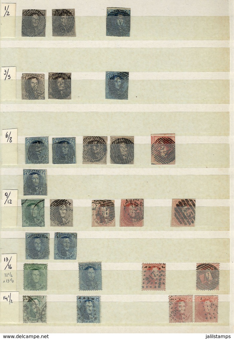 791 BELGIUM: Very Good Stock Of Old And Modern Stamps On A Large Number Of Stockpages, Used Or Mint (without Gum, Lightl - Collections