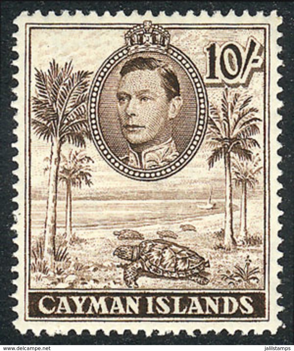 1000 CAYMAN ISLANDS: Sc.111a, 1943 Turtles 10Sh. Perforation 14, Mint Very Lightly Hinged, Very Fine Quality, Catalog Va - Cayman Islands