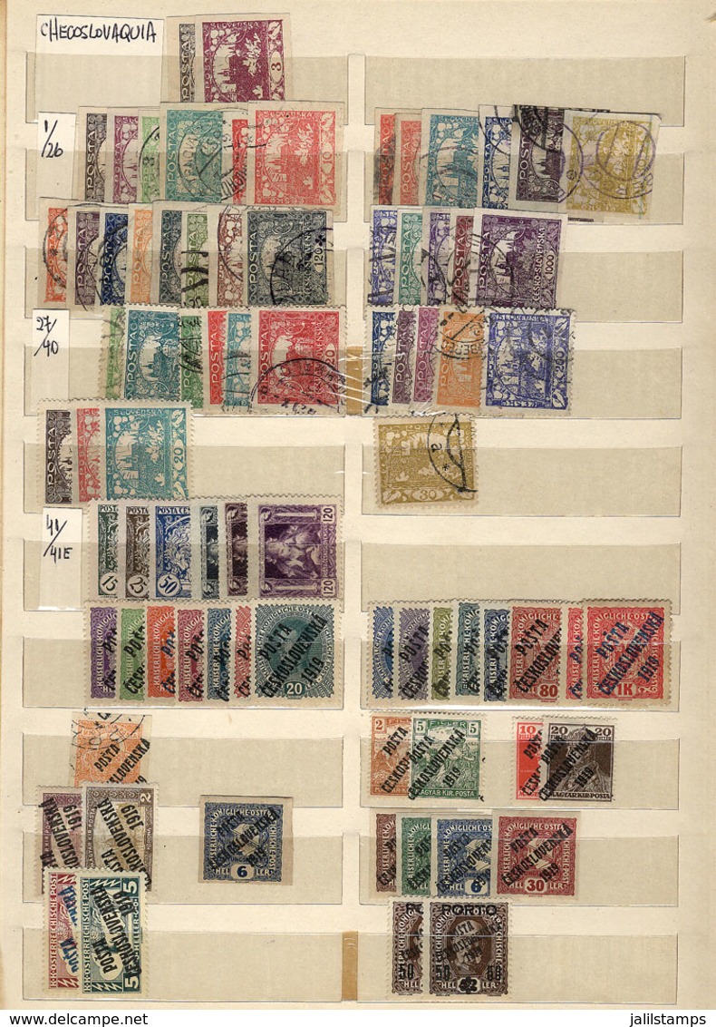 1013 CZECHOSLOVAKIA: Stock Of Stamps And Sets In Large Stockbook, Used Or Mint, In General Of Very Fine Quality! IMPORTA - Other & Unclassified
