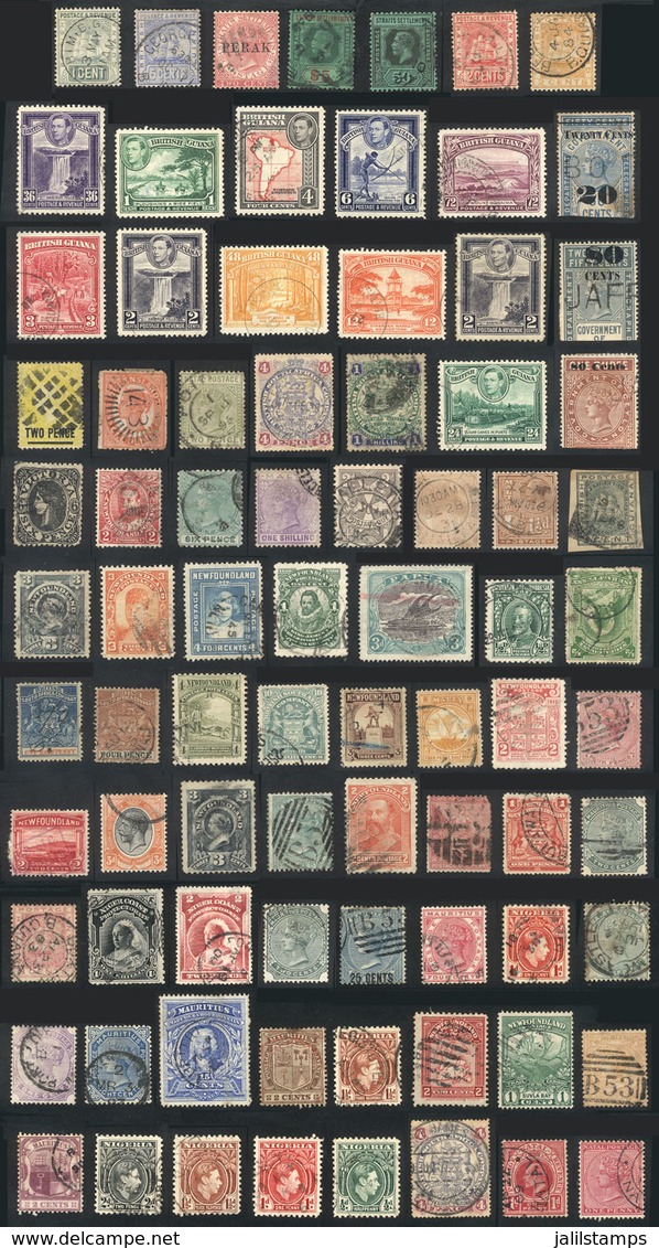 1105 BRITISH COLONIES: Lot Of Old Stamps, All Used, The General Quality Is Fine To Very Fine. The Expert Will Probably F - Autres & Non Classés