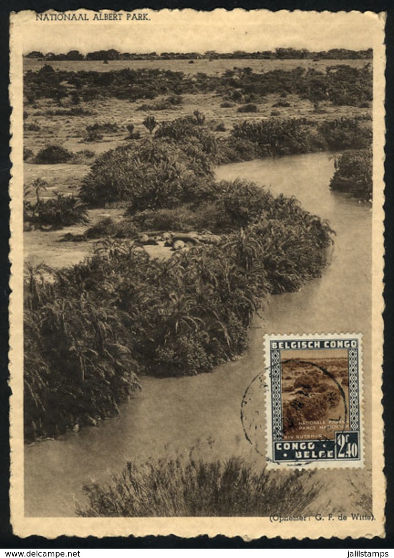 1118 BELGIAN CONGO: Maximum Card Of OC/1938: Albert National Park, Rutshuru River, VF - Other & Unclassified