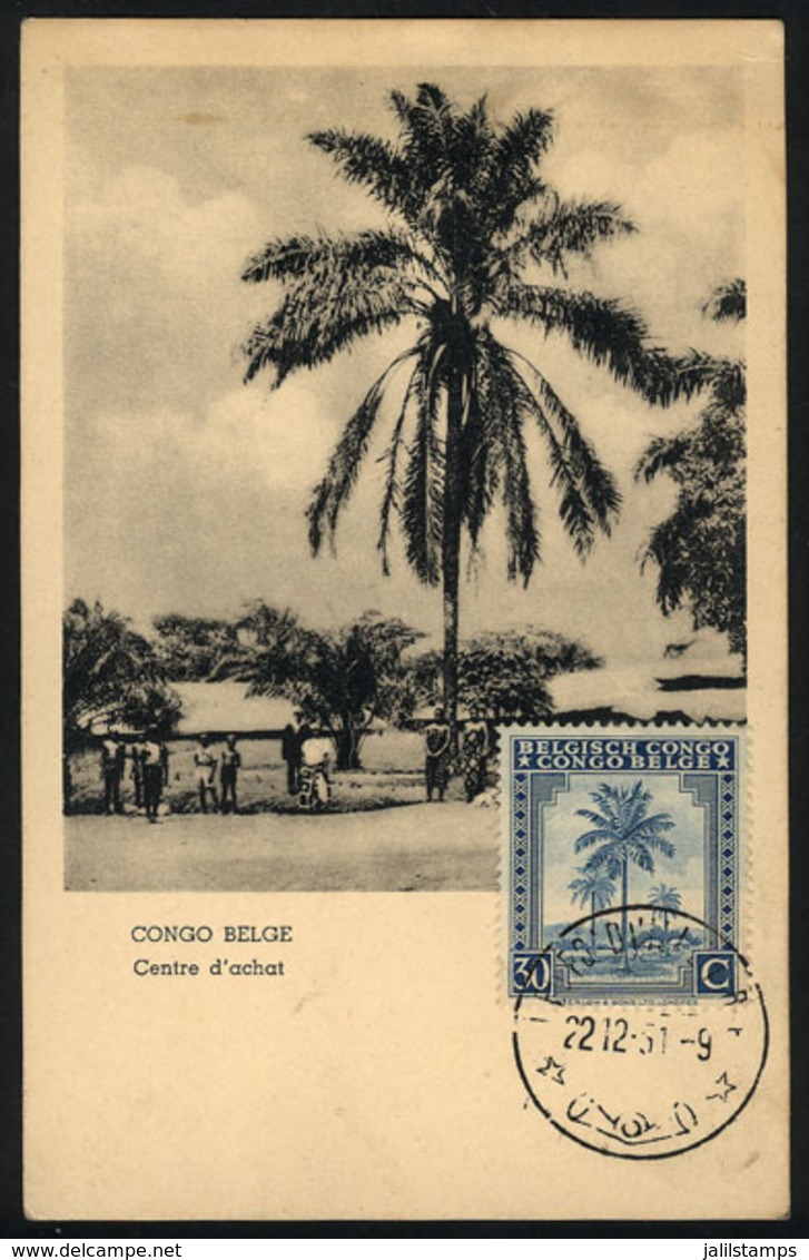 1119 BELGIAN CONGO: Maximum Card Of DE/1951: Palm Trees, Market, With Minor Defects At Top (due To Humidity) - Other & Unclassified