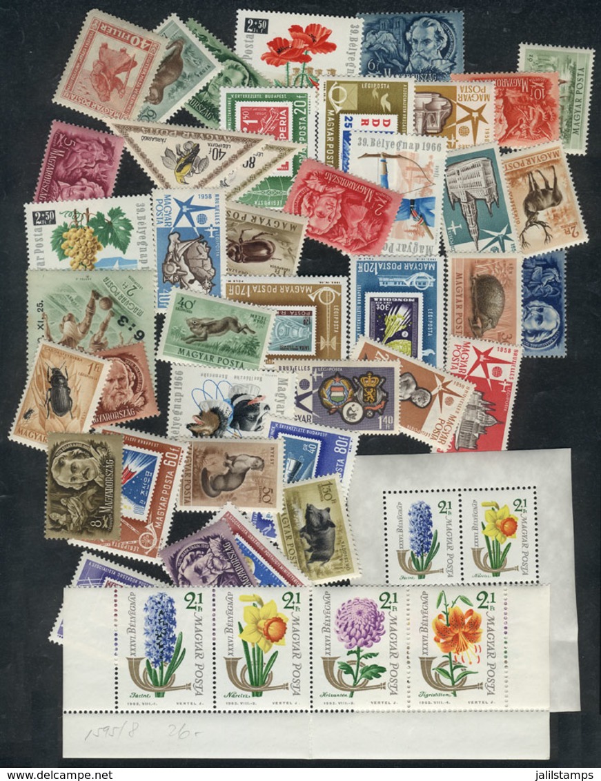 1424 HUNGARY: Lot Of Stamps And Complete Sets, Most Are Very Thematic And Of Fine To VF Quality (many Unmounted, And Few - Altri & Non Classificati