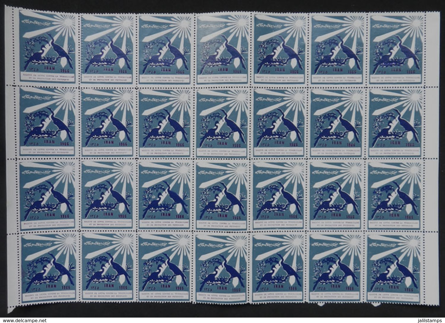 1438 IRAN: FIGHT AGAINST TUBERCULOSIS: 1966 Issue, Large Block Of 28 Cinderellas, MNH, Excellent Quality! - Iran