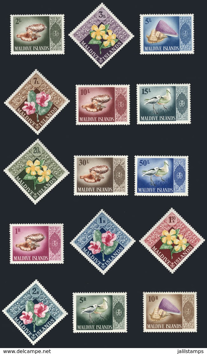 1553 MALDIVES: Sc.172/186, 1966 Birds, Flowers And Sea Shells, Complete Set Of 15 Unmounted Values, Excellent Quality, C - Malediven (...-1965)