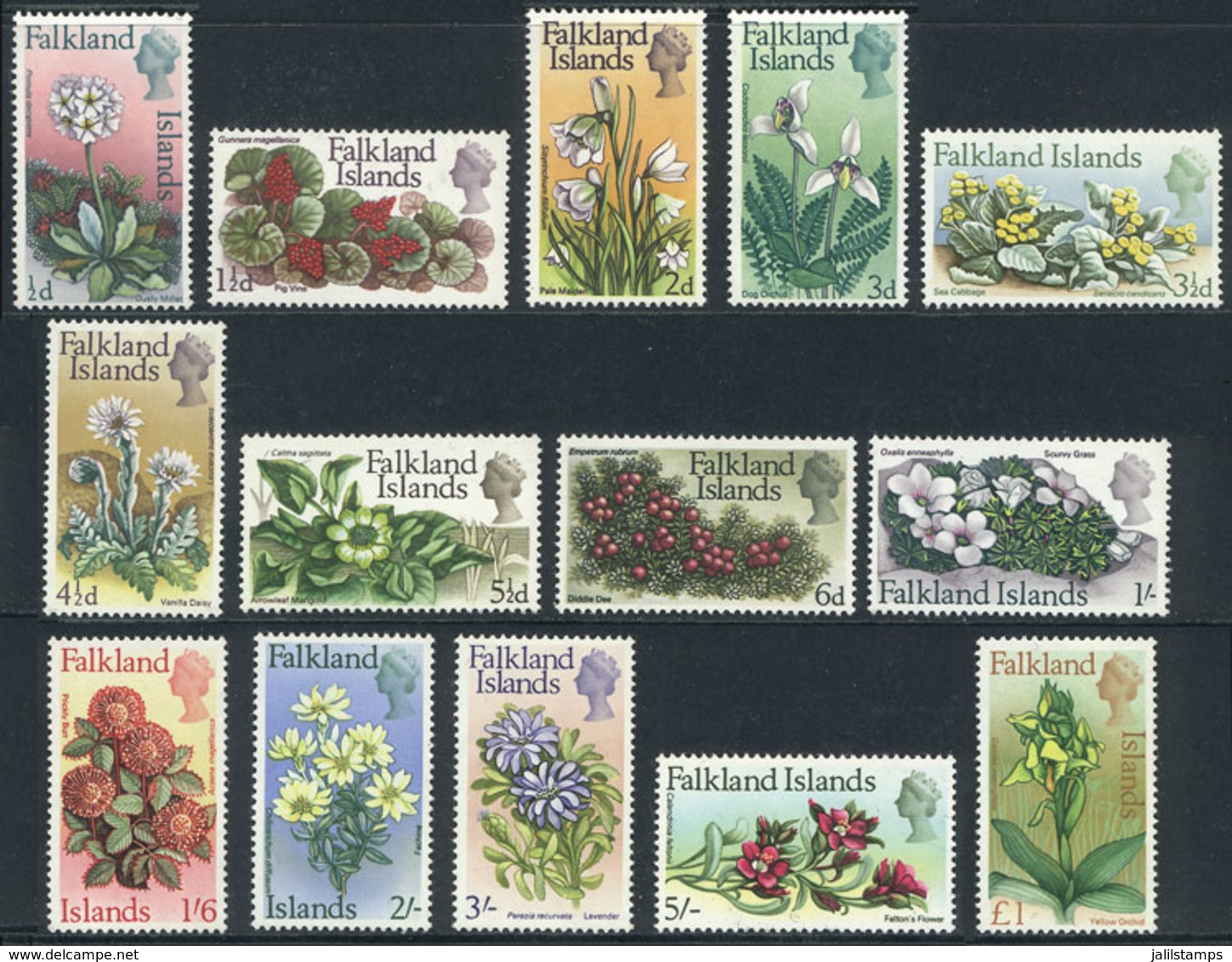 1556 FALKLAND ISLANDS/MALVINAS: Sc.166/179, 1968 Flowers, Complete Set Of 14 Unmounted Values, Excellent Quality, Catalo - Falkland