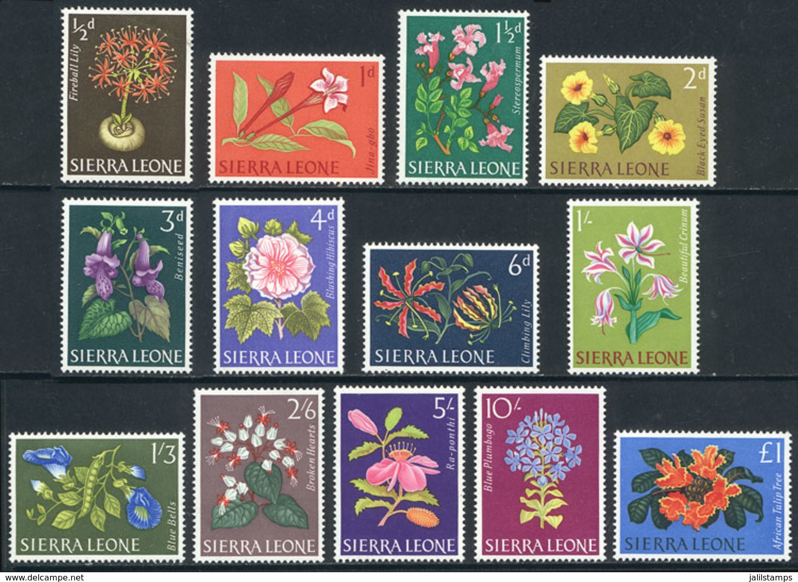 1821 SIERRA LEONE: Sc.227/239, 1963 Flowers, Complete Set Of 13 Unmounted Values, Excellent Quality. - Sierra Leone (1961-...)