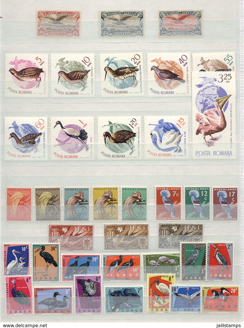 1864 WORLDWIDE: BIRDS: Small Accumulation In Stockbook With Good Stamps And Sets, Almost All MNH And Of Very Fine Qualit - Other & Unclassified