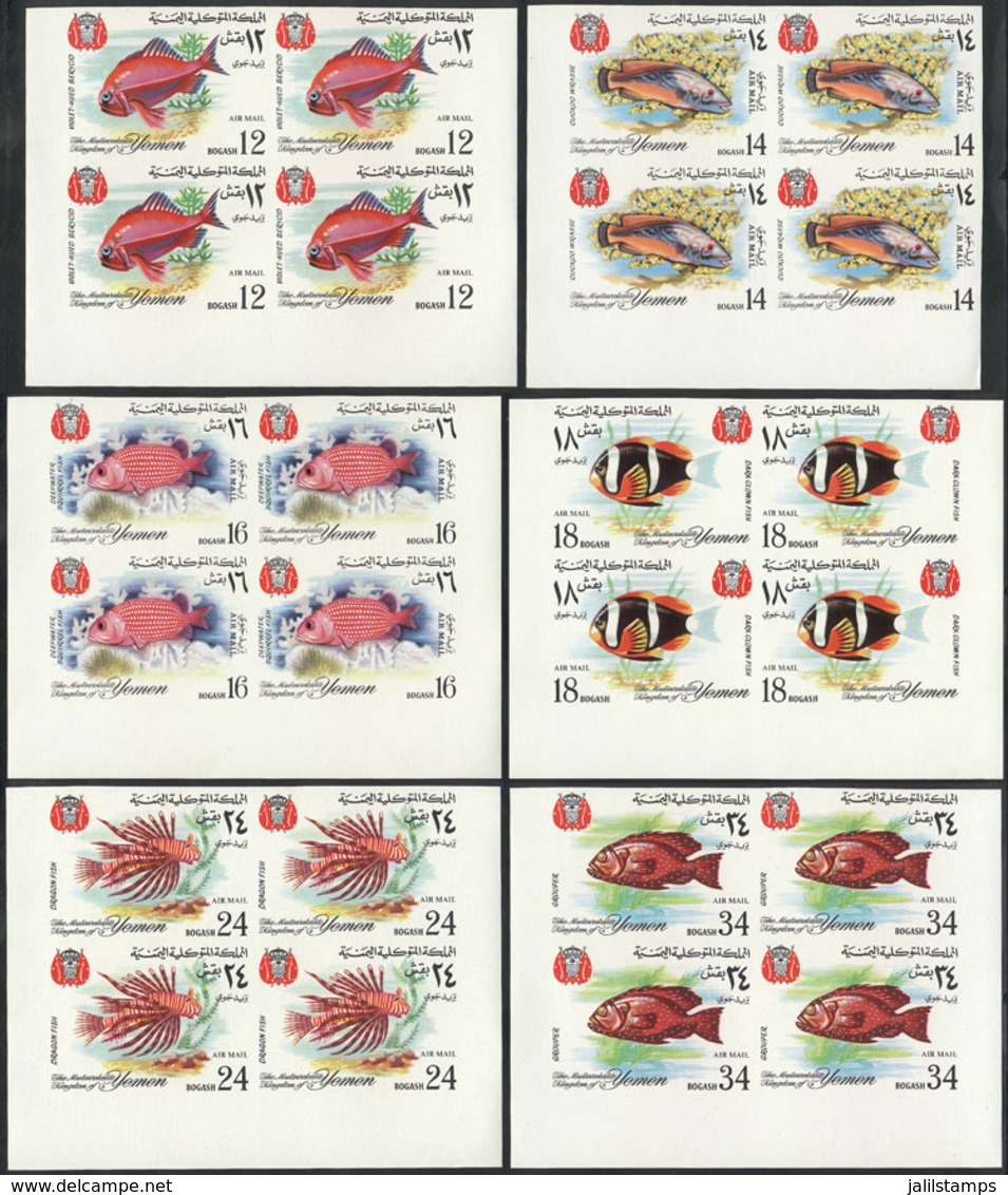 1941 YEMEN: Yvert 64, 1967 Fish, Complete Set Of 6 Values In IMPERFORATE BLOCKS OF 4, Unmounted, Excellent Quality! - Yemen