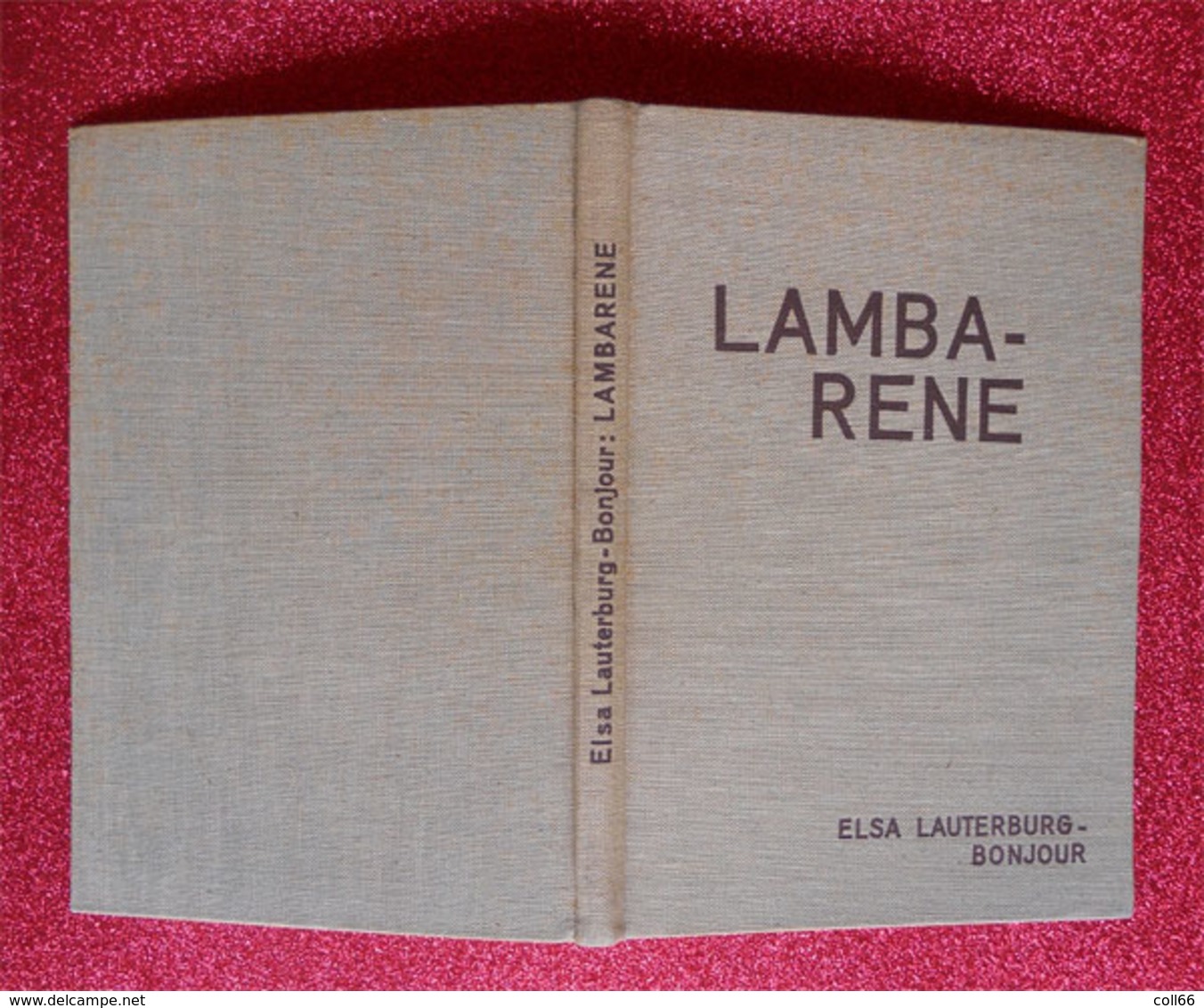 1931 Livre Book Lambaréné Gabon Hopital Dr Schweitzer Par Elsa Lauterburg-Bonjour édit Paul Haupt Bern Leipzig - Livres Anciens