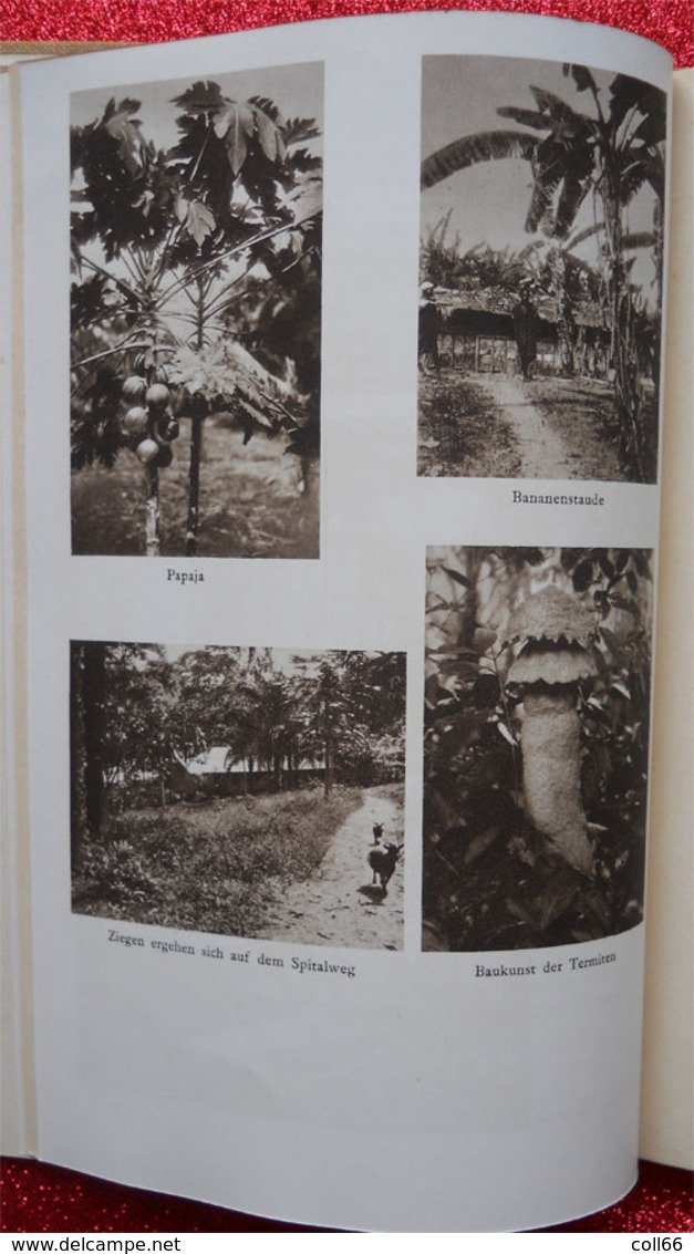 1931 Livre Book Lambaréné Gabon Hopital Dr Schweitzer par Elsa Lauterburg-Bonjour édit Paul Haupt Bern Leipzig