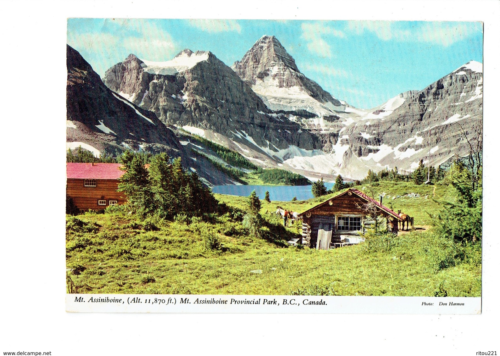 Cpsm - CANADA MOUNT ASSINIBOINE - Cheval - Cartes Modernes