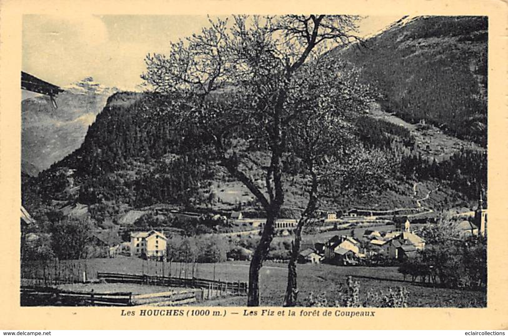 Morzine       74       Les Fiz Et La Forêt De Coupeaux       (voir Scan) - Les Houches