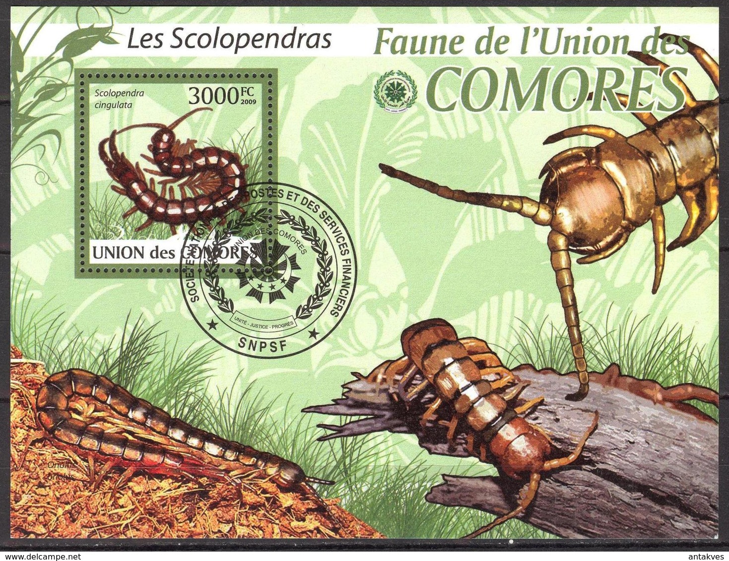 {CM25} Comoros 2009 Tracks Insects S/S Used / CTO - Comores (1975-...)