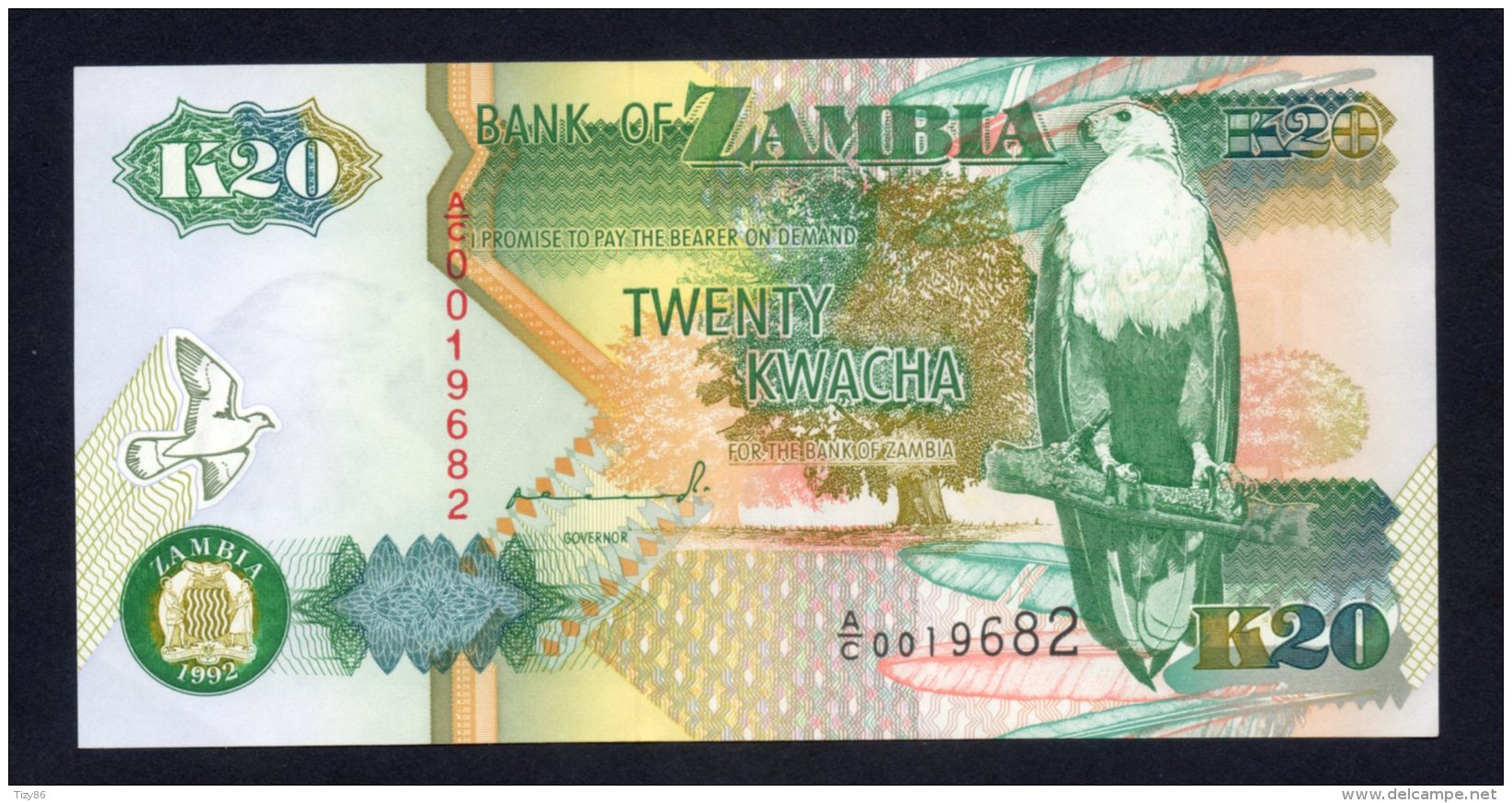 Banconota Zambia 20 Kwacha (UNC) - Zambia