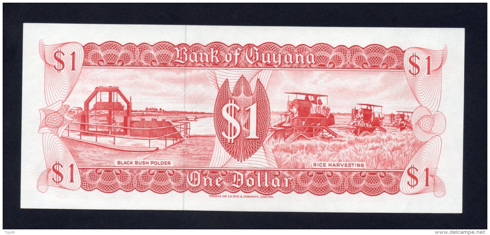 Banconota GUYANA 1 Dollaro 1966/92 (UNC) - Guyana