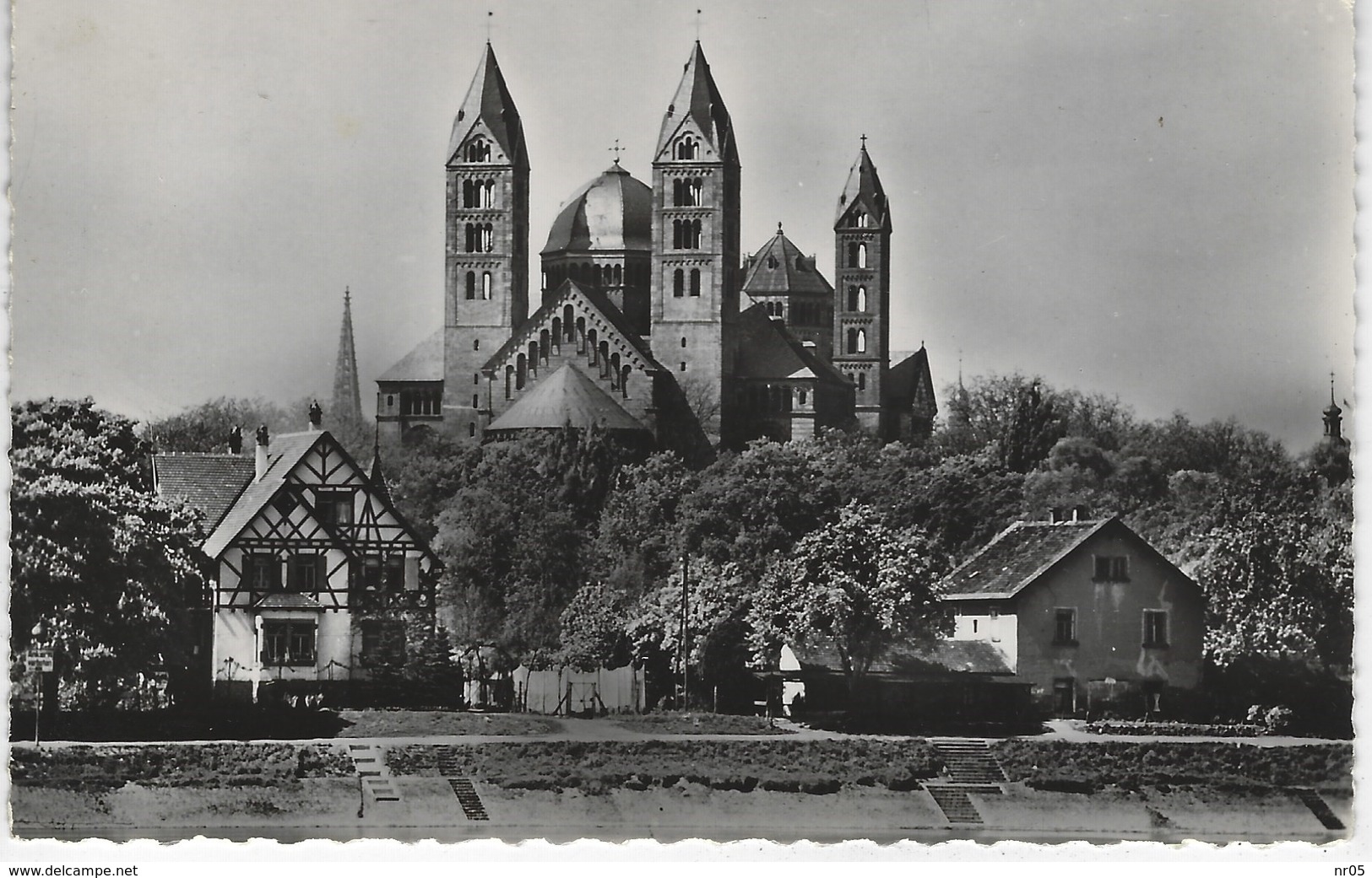 CPSM ALLEMAGNE ( Europe ) - SPIRE - La Cathedrale Vue De La Rive Droite Du Rhin - Speyer